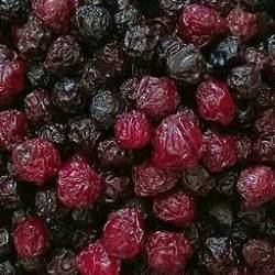 آلبالو خشک تبریزی فله